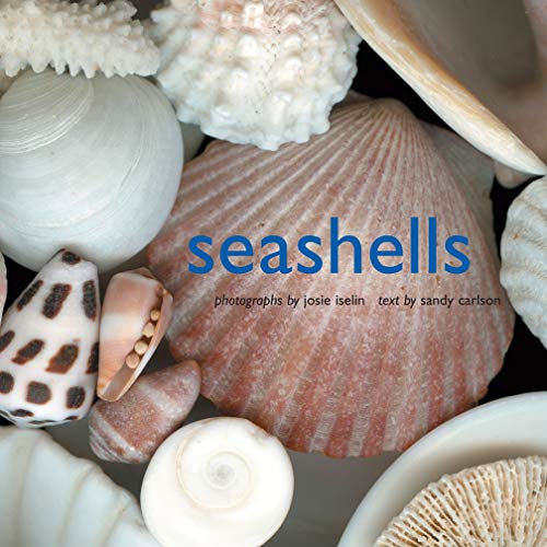 Buy Seashells, Starfish & Coastal Decor • Sage, Rocks & Crystals